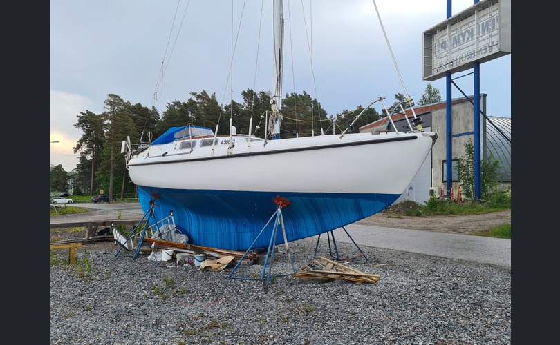 Laurin Koster 32-kuva-2